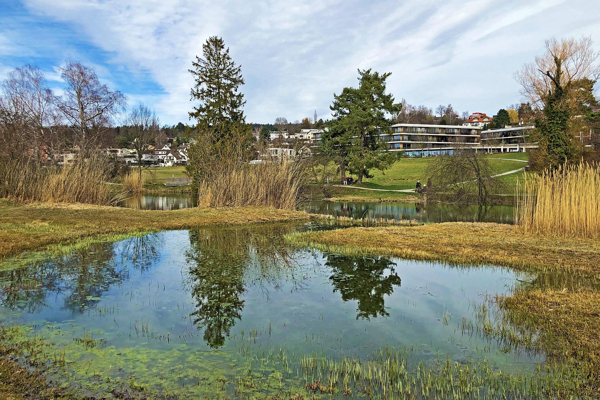 Keyvisual Programmablauf