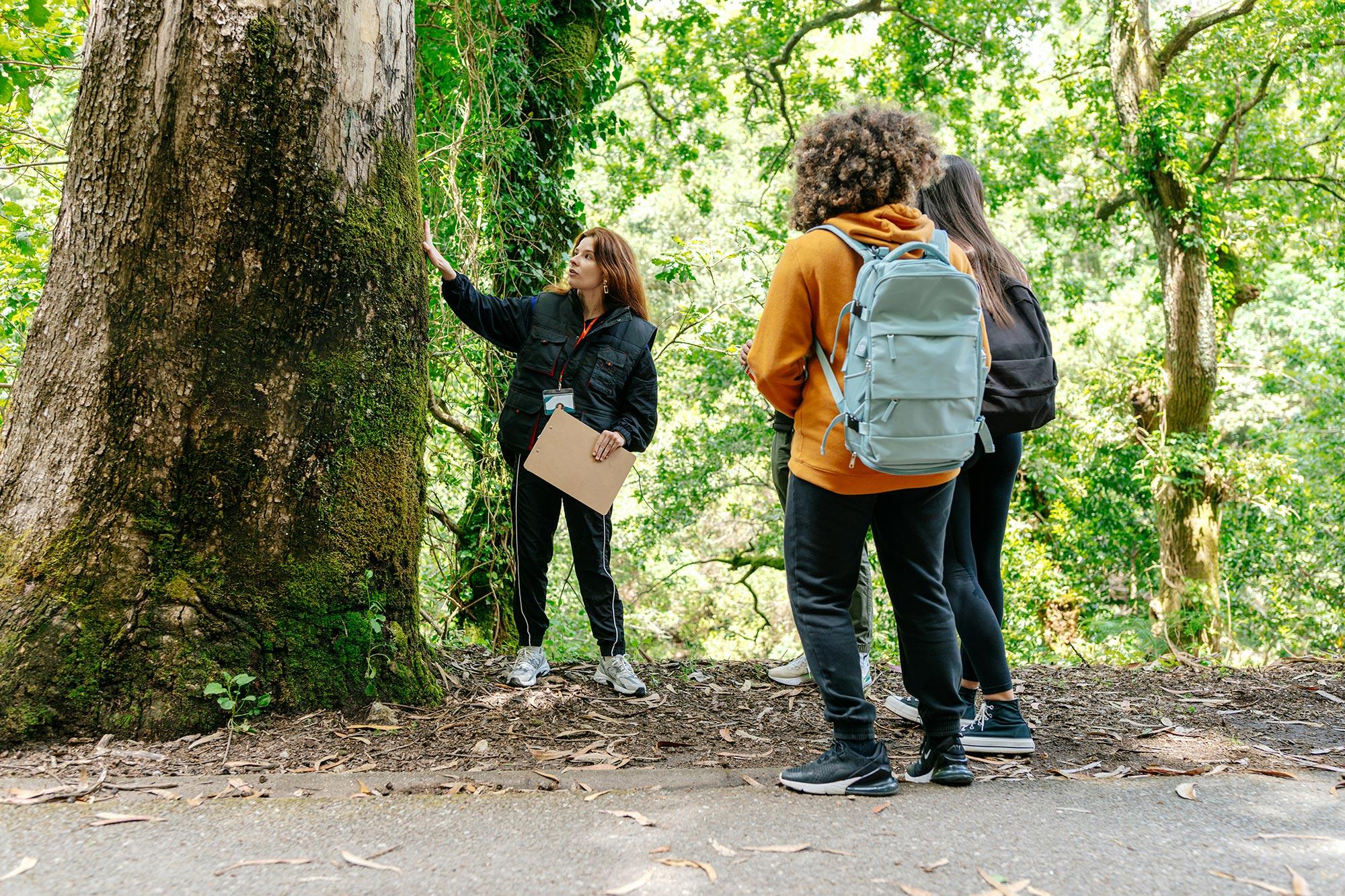 Keyvisual Förderung der Biodiversitätskompetenz durch Bildung